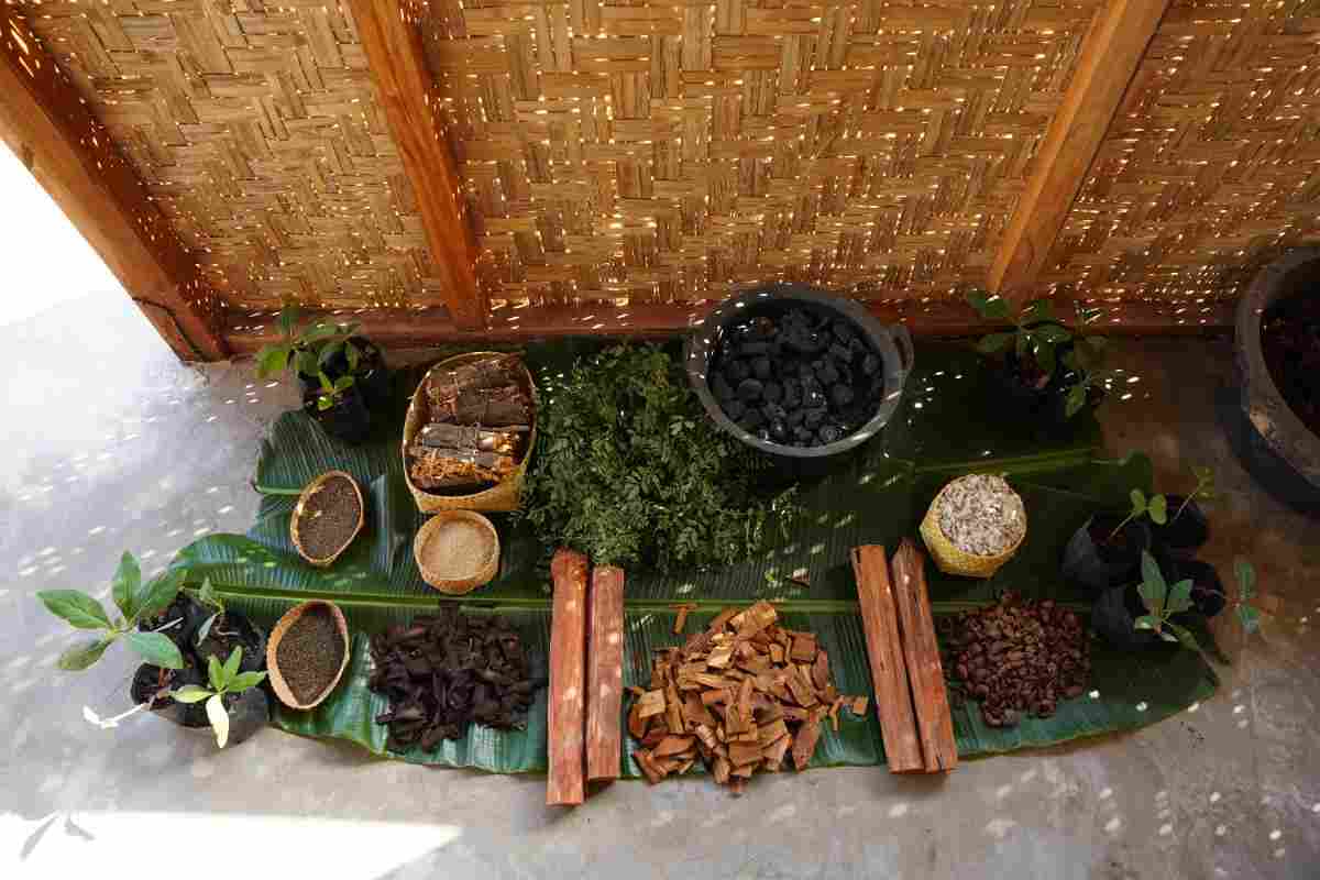 Daun indigofera, akar mengkudu, kayu kuning (idju) adalah bagian dari pewarna alam pada kain tenunan sumba timur